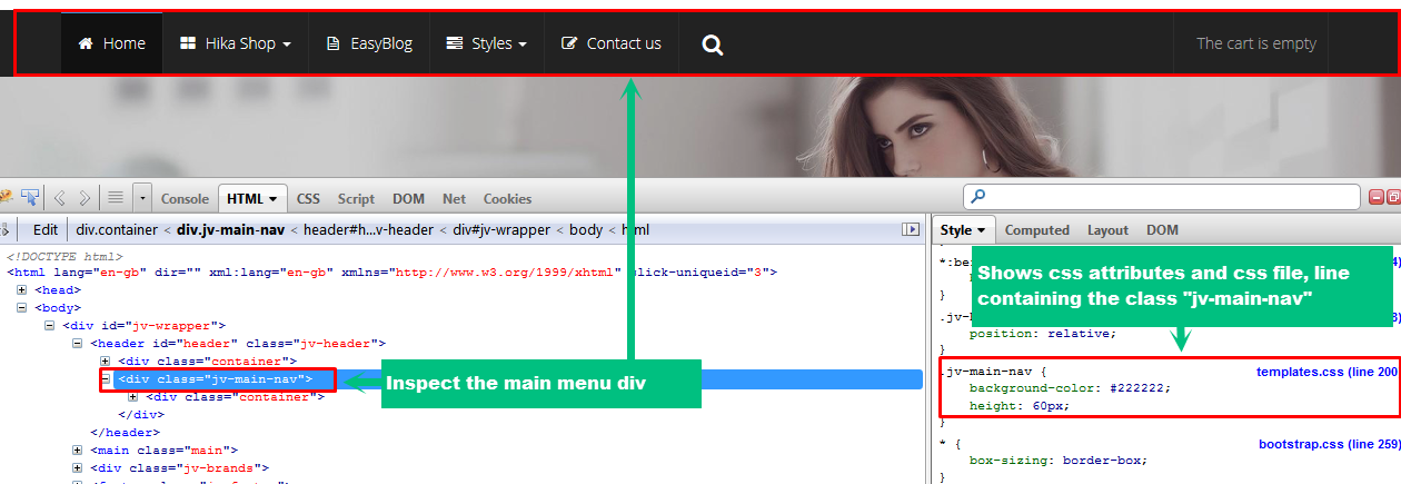 inspect element with firebug