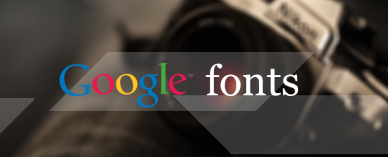 template supports google fonts