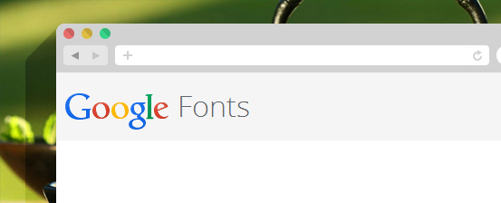supports google fonts